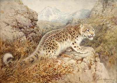 Snow Leopard by William Woodhouse